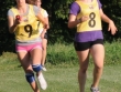 fronet08