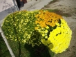 misiba2014009