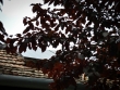hivatal_3_004